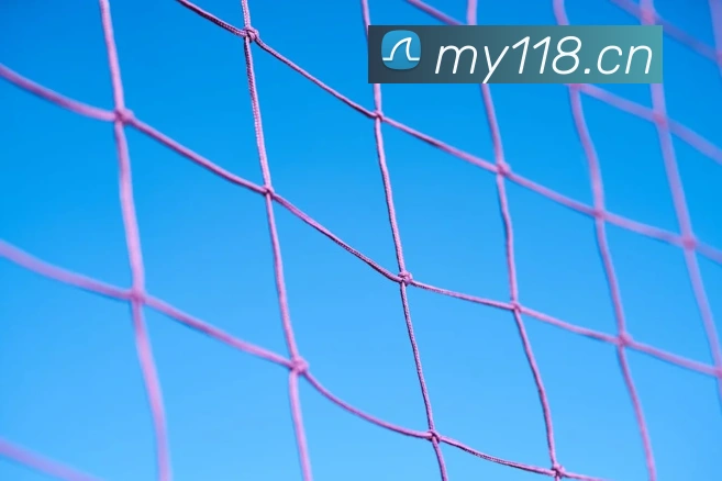 安博站官网入口APP 封面图